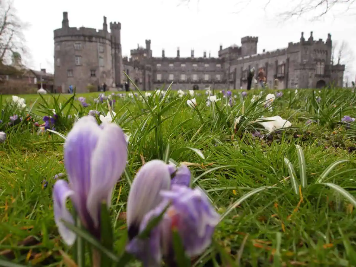 top things to do with kids in ireland culture art