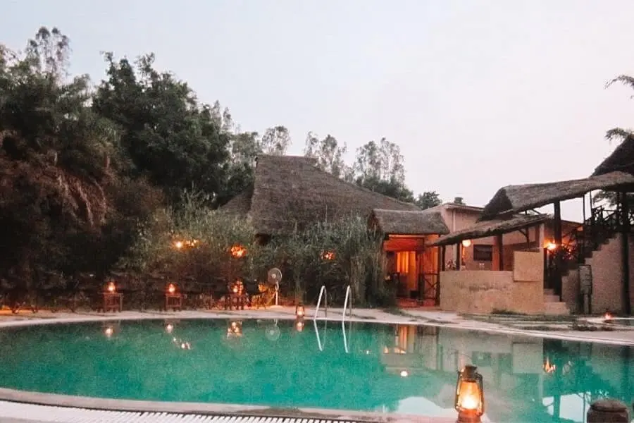 an evening at jims jungle retreat 