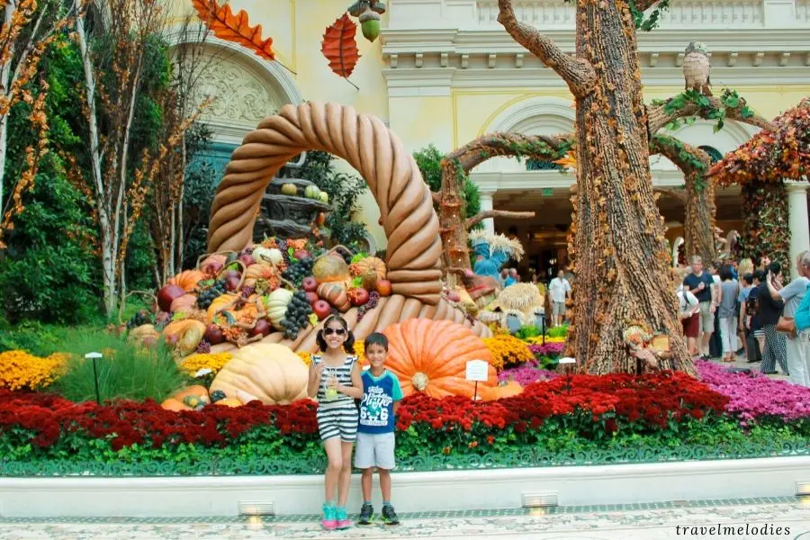 bellagio conservatory and botanical gardens