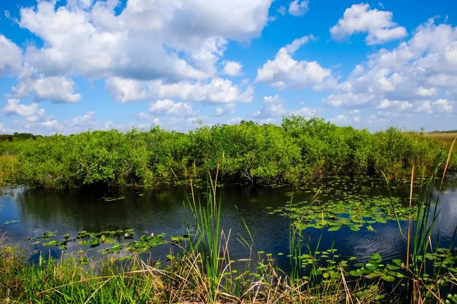 everglades national park florida the best national parks in the usa