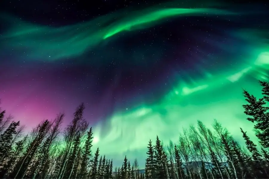 fairbanks alaska best places to see northern lights with kids