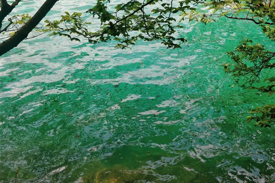 fishing in lake bled slovenia