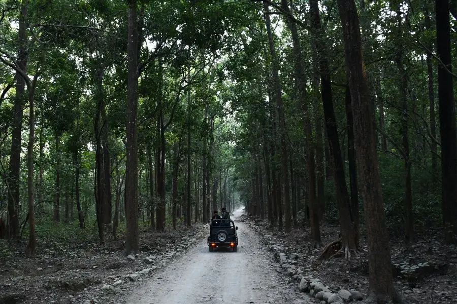 Jim corbett national park ramnagar uttarakhand