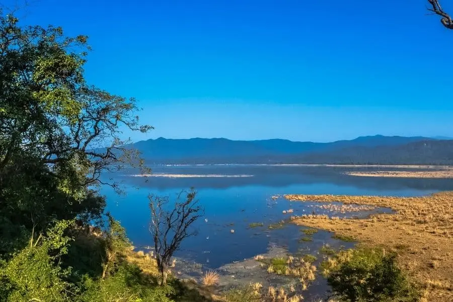 kosi river jim corbett ramnagar uttarakhand