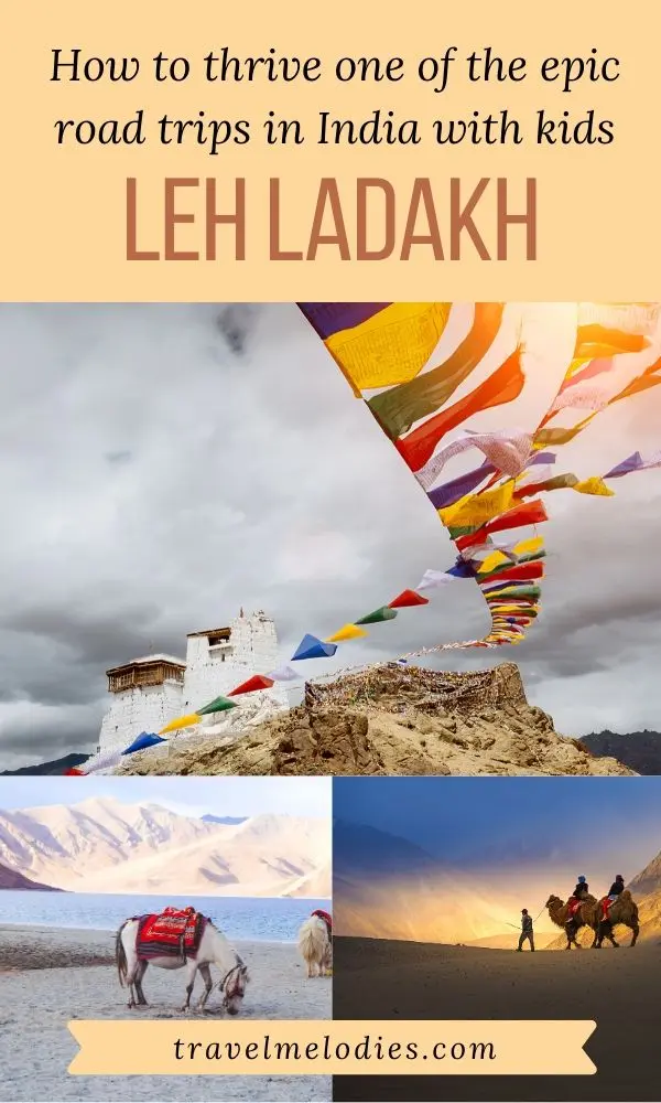 leh ladakh road trip one of the best road trips in india