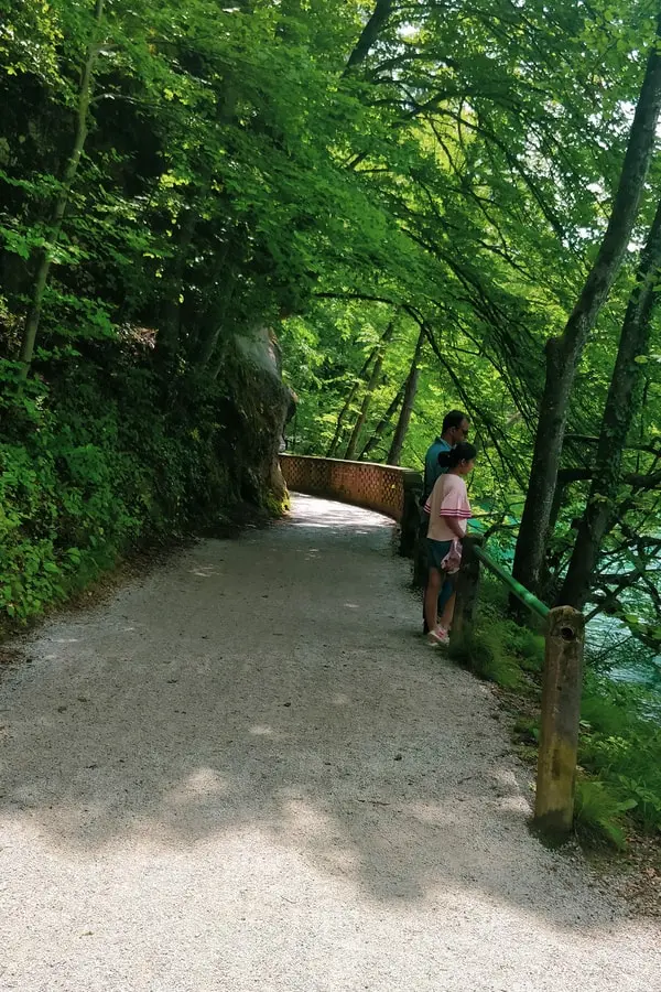 mala osojnica hike lake bled