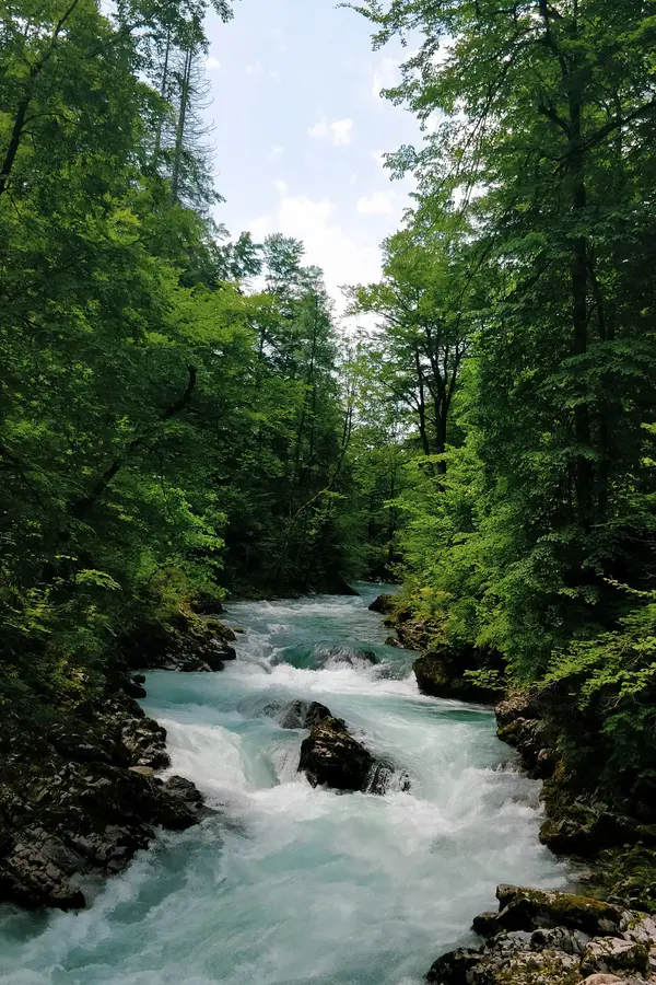 narrow wild radovna river vintgar gorge