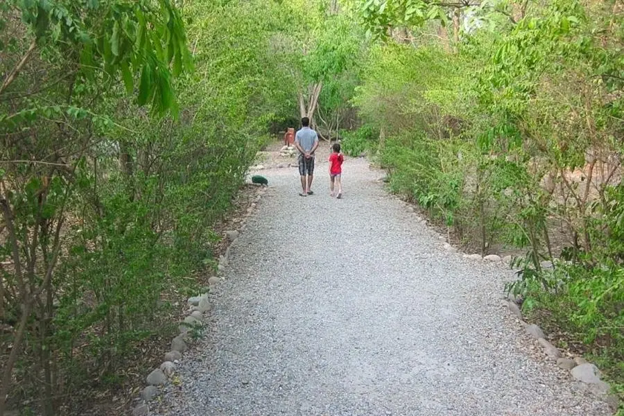 nature walk jims jungle retreat corbett