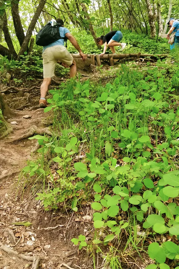 plitvice lakes hiking trails