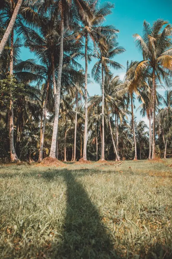 pulau ubin island singapore
