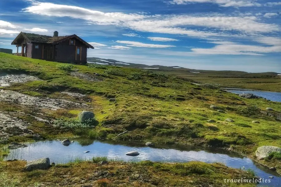 scenic road trip in norway bergen to oslo