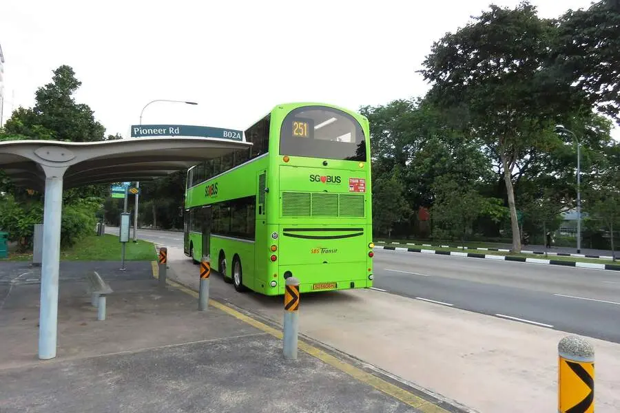 singapore public transport buses