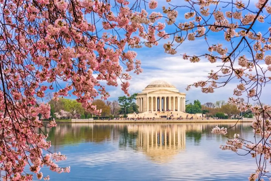 spring bloom at tidal basin Jefferson memorial Washington DC best places to visit in the USA with kids
