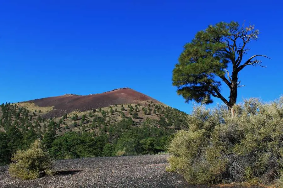sunset crater volcano national monument arizona usa