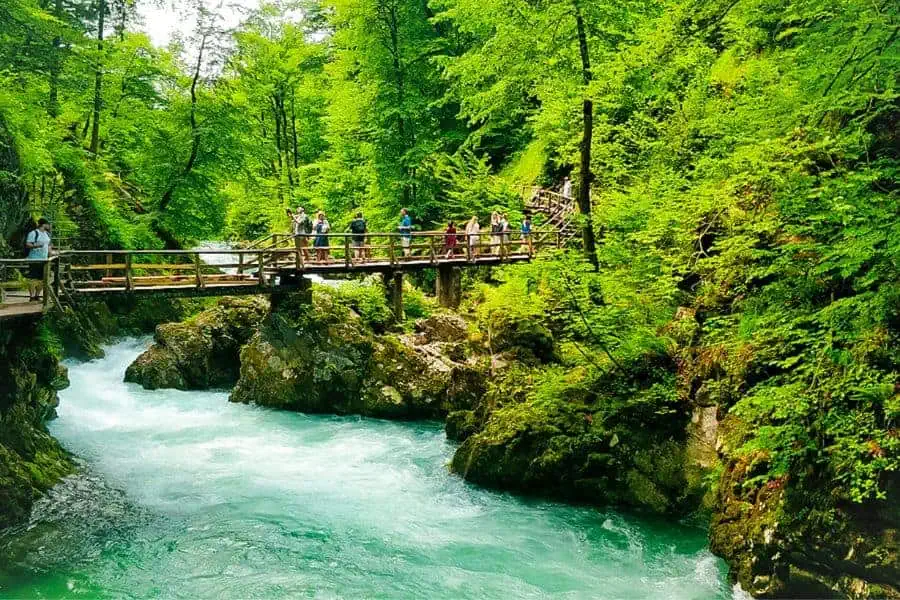 walking hiking vintgar gorge wooden walkways zumer galleries 