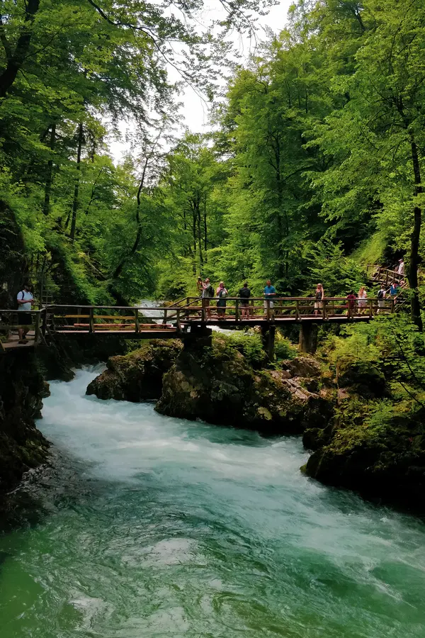 vintgar gorge zgornje gorje
