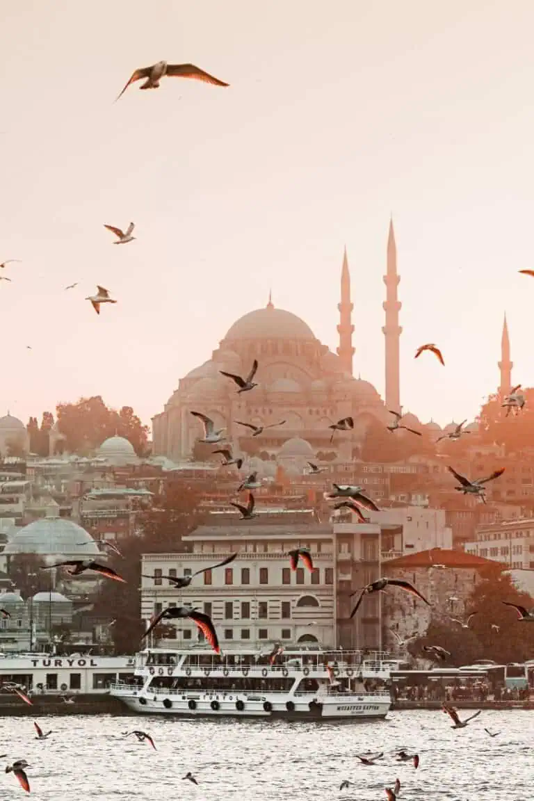 a flock of seagulls flies over the bosphorus at sunset, with istanbul’s iconic suleymaniye mosque and its twin minarets rising in the background, as a ferry named turyol sails through the water