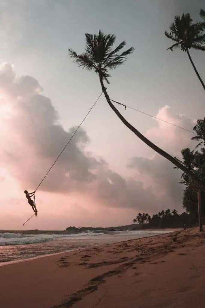 sunset swing at unawatuna beach in sri lanka with palm trees and waves in the background