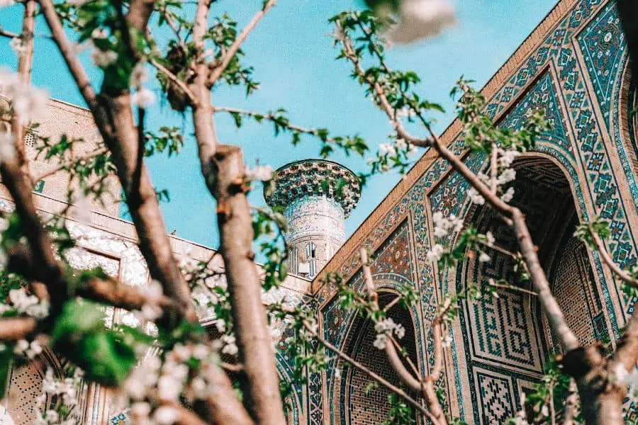spring blossoms framing the tiled arches of registan madrasas in samarkand uzbekistan, with turquoise minaret rising behind mosaic walls
