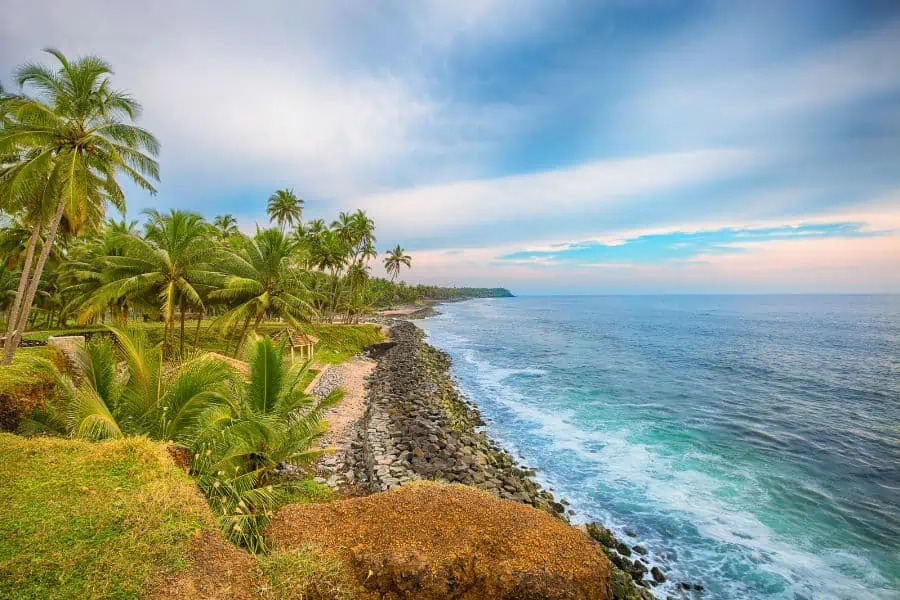 varkala cliff and palm lined coastline overlooking the arabian sea in kerala india