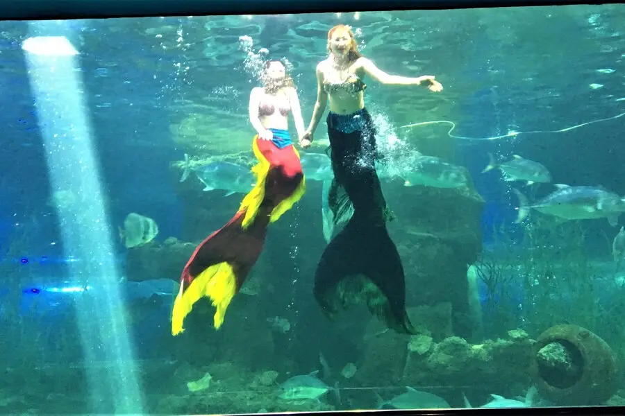 vinpearl land phu quoc mermaid show