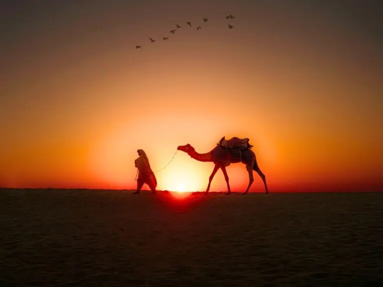 visiting jaisalmer travel guide